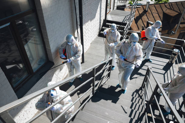 Best Environmental Consulting for Mold Prevention  in Milford, UT