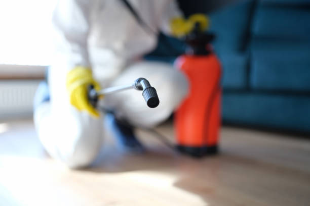 Best Biohazard Mold Removal  in Milford, UT