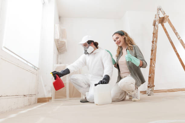  Milford, UT Mold Removal Pros