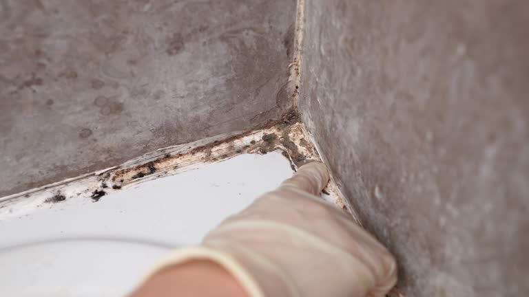 Best Residential Mold Inspection & Testing  in Milford, UT